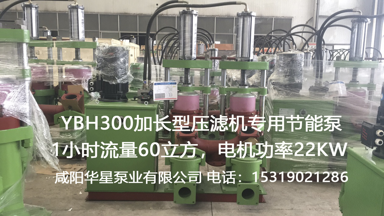 YBH300加長型壓濾機專用節(jié)能泵