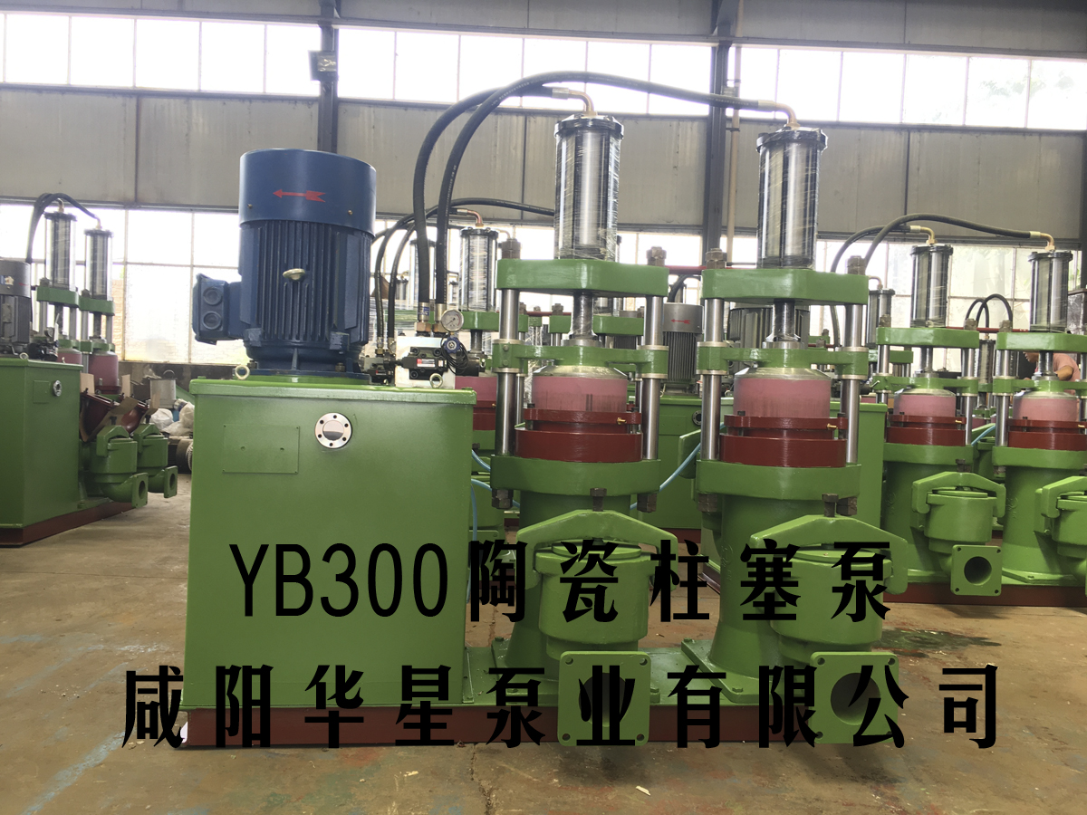 YB300-40壓濾機入料泵